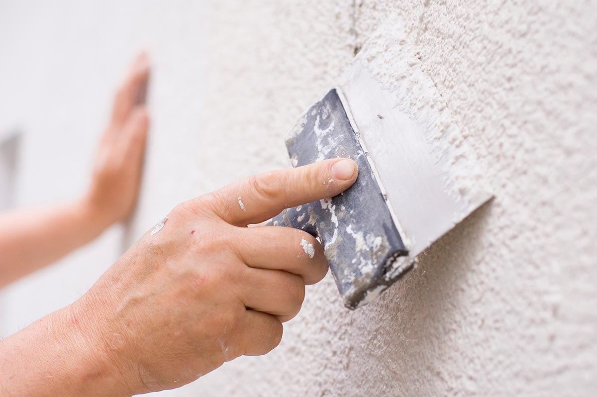 mold growth plaster vs drywall